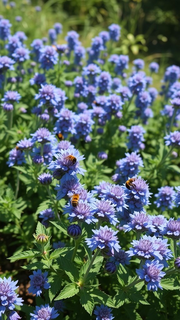 A lush garden filled with vibrant blue catmint flowers, buzzing bees, and green foliage.