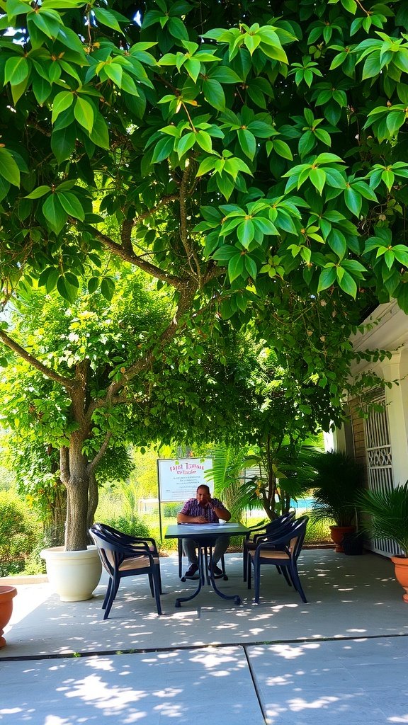 Outdoor sitting area with chairs under a tree canopy